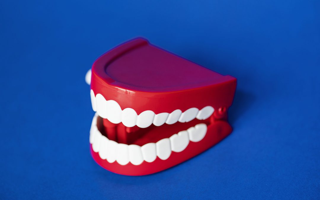 tandarts alkmaar